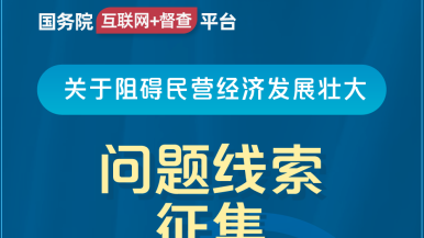 黄色操逼网站国务院“互联网+督查”平台公开征集阻碍民营经济发展壮大问题线索